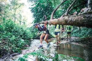 BIB: 
                            <button type="button" onclick="openModal(25441758)" class="btn btn-primary btn-sm float-right btn-popup" data-toggle="modal" data-target=".modal-high-quality">
                        <i class="fas fa-shopping-cart"></i> Add to Cart
                    </button>
                                            <button type="button" onclick="isThisMe(25441758, true)" class="btn btn-success btn-sm float-right btn-popup btn-isme hidden" data-toggle="tooltip" data-placement="bottom" title="นี่คือรูปของคุณใช่ไหม คลิกที่นี่เพื่อเอาเข้าอัลบั้ม">
                        <i class="fas fa-plus"></i> Add to album
                    </button>
                    <button type="button" onclick="isThisMe(25441758, false)" class="btn btn-warning btn-sm float-right btn-popup btn-isnotme hidden">
                        <i class="fas fa-ban"></i> Remove from album
                    </button>